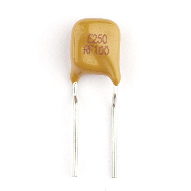 插件PTC自恢復保險絲E250-RF100